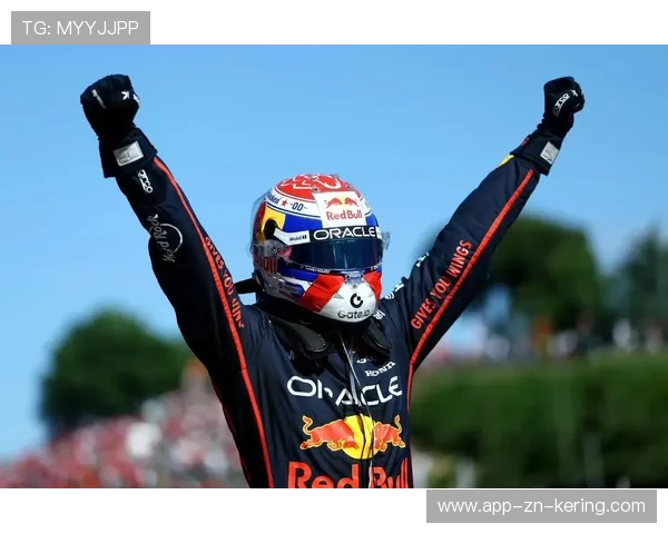 维斯塔潘轮胎策略被赞：在极限中求胜